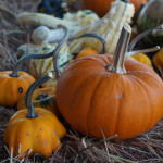 Pumpkin Patch For Mission at FUMC Owasso