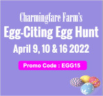 Charmingfare Farm - Egg-Citing Egg Hunt