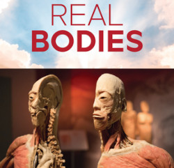 REAL BODIES at Horseshoe