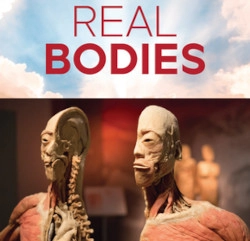 REAL BODIES at Horseshoe