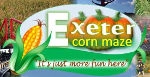 Exeter Corn Maze