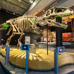 Phillip and Patricia Frost Museum of Science