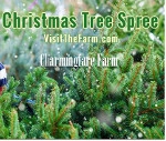 Charmingfare Farm - Christmas Tree Spree