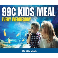 Houston Downtown Aquarium