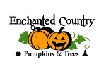 Enchanted Country Pumpkin Patch