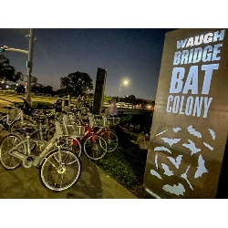 Buffalo Bayou