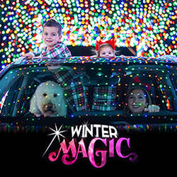 Kansas City's FAV Holiday Light Party!