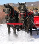 Breckenridge Stables @ Gold Run