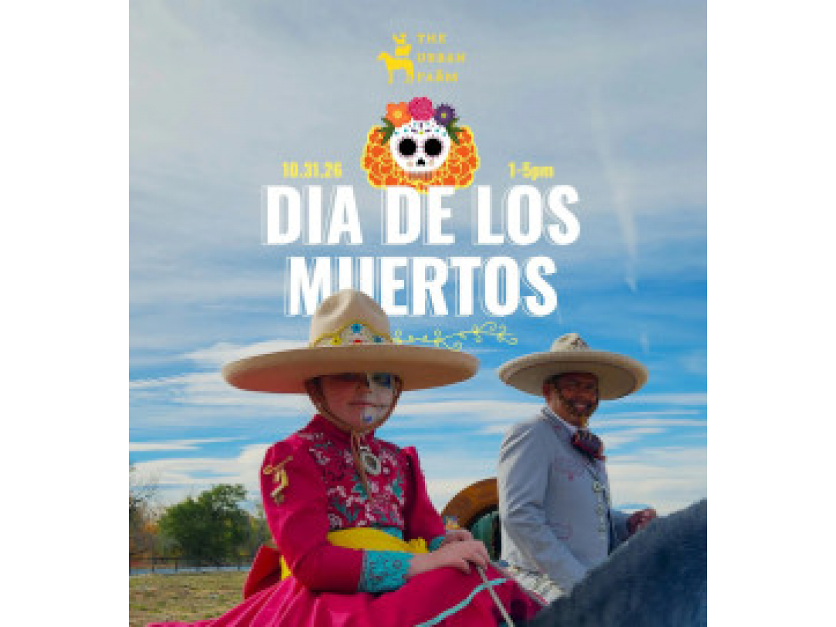 Dia de Los Muertos 2026