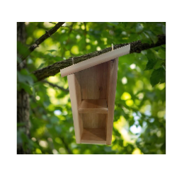 Insect Inn Enrichment Class (Ages 5-9)