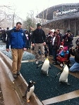 Pittsburgh Zoo & PPG Aquarium