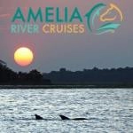 Amelia River Cruises & The Cumberland Sound Ferry