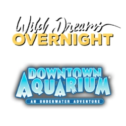 Downtown Aquarium
