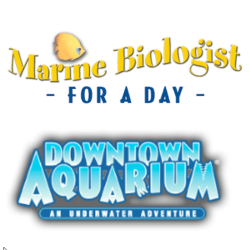 Marine Biologist for a Day for 1st-4th grade