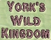 York's Wild Kingdom