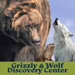 Grizzly & Wolf Discovery Center