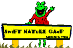 Swift Nature Camp