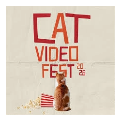Cat Video Fest
