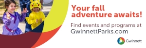 gwinnetttilefall2025.webp