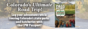 PASSPORT_COLORADOKIDS_TILE.webp