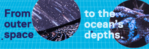 FrostTile.gif