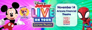 Phoenix_DisneyJrtile.webp