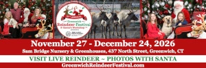 reindeertile2.webp