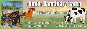 JuniorSanctuaryCamp300x100.webp