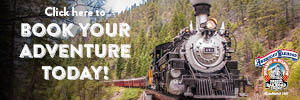 DSNGRR300x100.jpg
