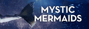 DTAQ-Mermaid-Banner.webp