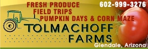 300x100-banner-tolmachoff-farms.webp