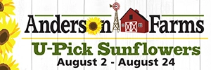 andersonfarmssunflowertile2025.webp