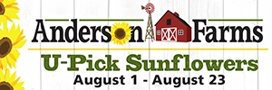 andersonsun2026tile.webp