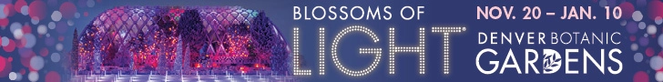 DBGBlossoms2026leader.webp