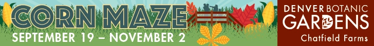DBGMaze2025leaderboard.webp