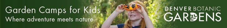 DenverBotanicCamp2026Leaderboard.webp