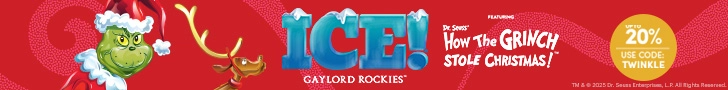 iceleader.webp