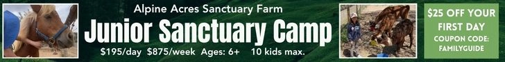 JuniorSanctuaryCampleader.webp