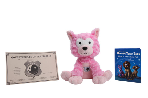 Sleep Training with Dream Team Pets: Review 7 sleep training kit Cat Dream Team Pets